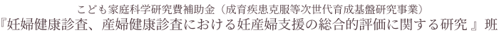 こども家庭科学研究費補助金（成育疾患克服等次世代育成基盤研究事業）『妊婦健康診査、産婦健康診査における妊産婦支援の総合的評価に関する研究 』班